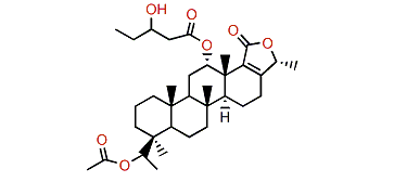 Honulactone J